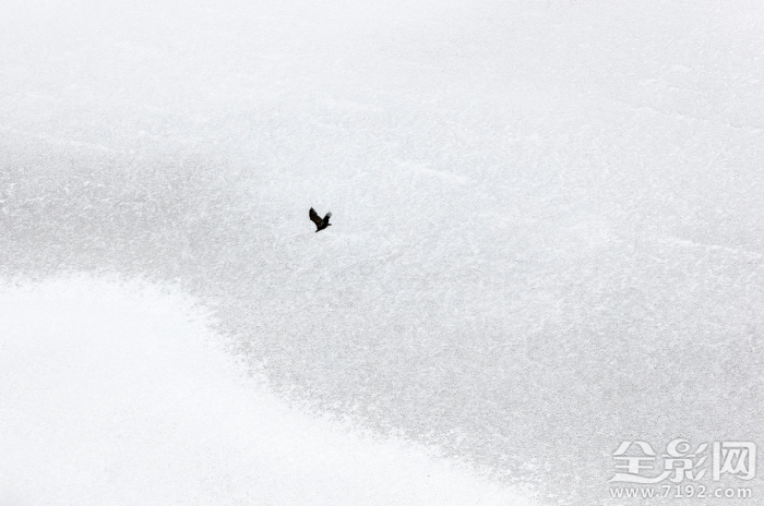 镜头里的人与自然和谐相处 镜头下怎么表现的自然