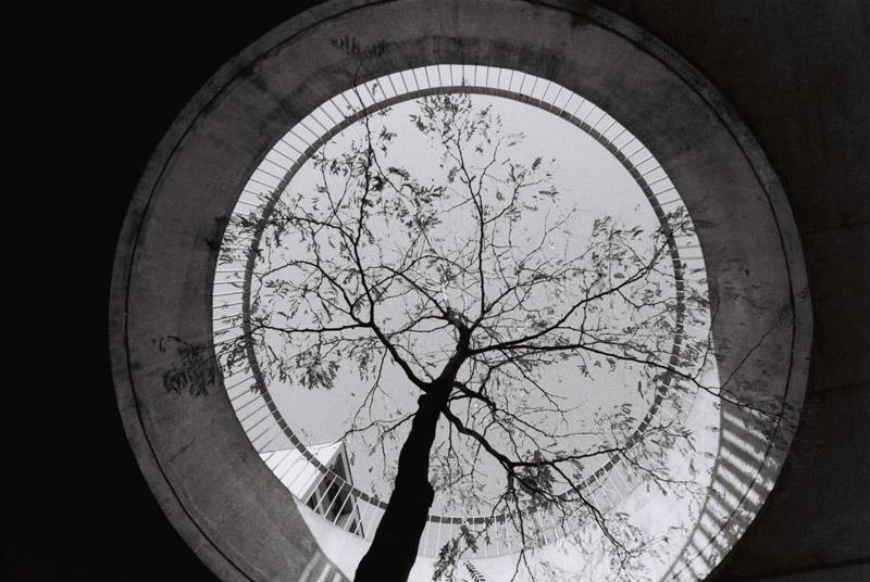 lomo黑白胶卷 lr调黑白胶片感