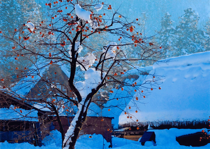 日本摄影比赛有哪些 日本优秀摄影作品图1