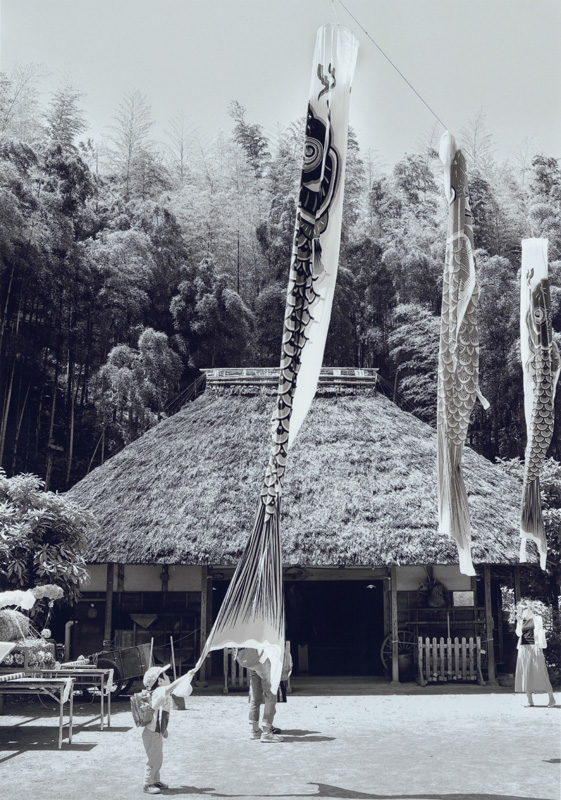 日本摄影比赛有哪些 日本优秀摄影作品图2