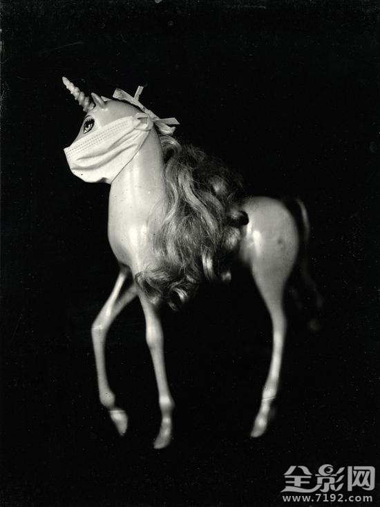 2016年ippa摄影大赛获奖作品 ipa国际摄影奖单项冠军