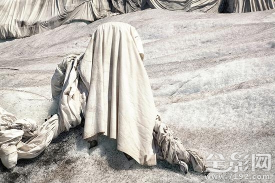 2016年ippa摄影大赛获奖作品 ipa国际摄影奖单项冠军