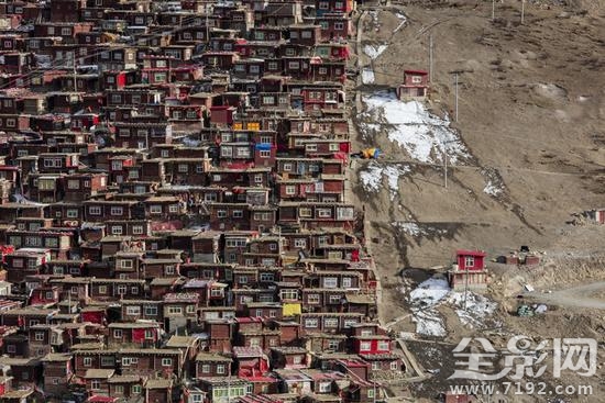 2016年ippa摄影大赛获奖作品 ipa国际摄影奖单项冠军