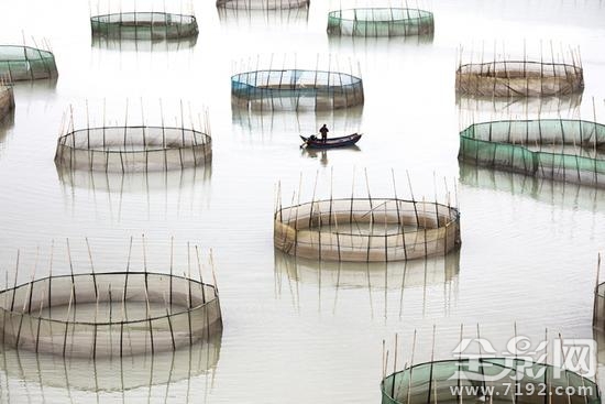 2016年ippa摄影大赛获奖作品 ipa国际摄影奖单项冠军