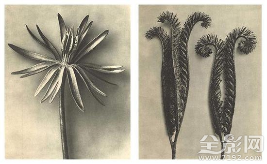 从19世纪到今天的德国摄影家是谁 德国当代摄影图3