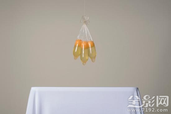 2016年ippa摄影大赛获奖作品 ipa国际摄影奖单项冠军