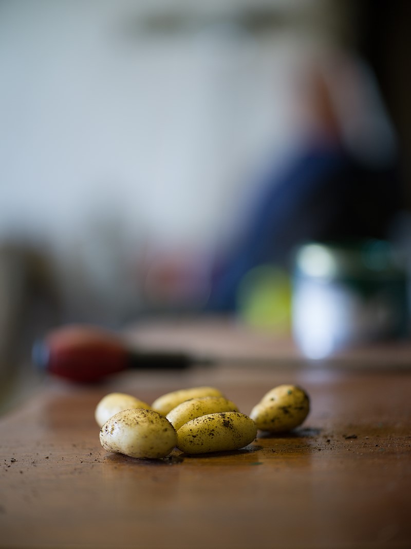 哈苏xcd80mm镜头评测 哈苏xcd120mm镜头评测