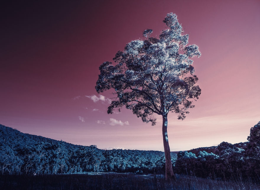 人像摄影作品的美感 摄影人像和风景