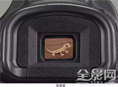 视野率95和100 视野范围多少合适