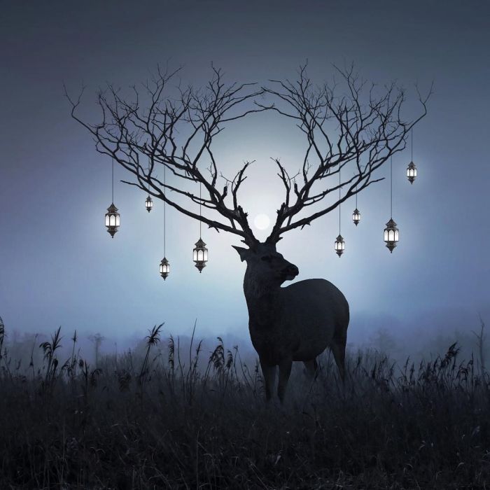 让情感在诗意中迸发什么意思 情感让生活充满诗意作文图2