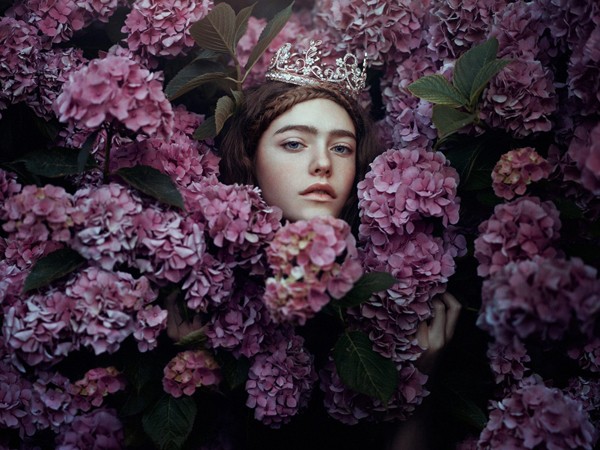 沉睡的花朵 沉睡的花朵歌曲的名字图2