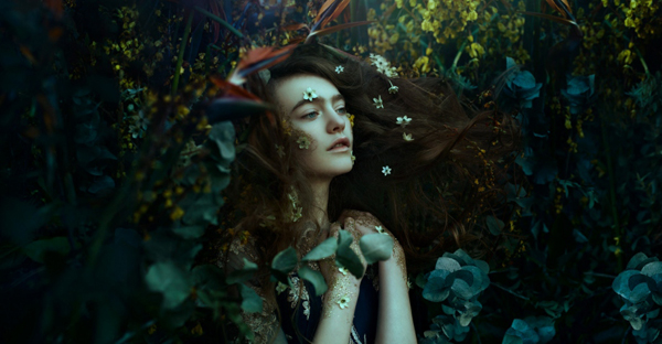 沉睡的花朵 沉睡的花朵歌曲的名字