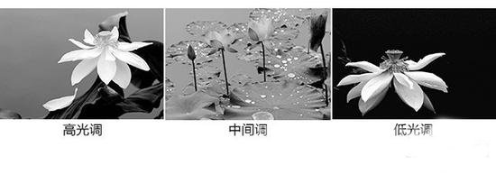 怎么拍高级黑白照片 黑白照拍摄技巧图2