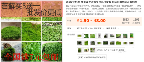 摄影技巧 足不出户也能轻松拍出微距大片吗 微距怎么拍好看