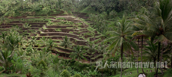 学摄影看的电影 电影摄影的技巧有哪些图2