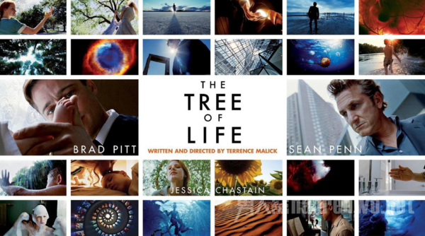 学摄影看的电影 电影摄影的技巧有哪些