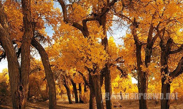 风光摄影中冷暖色调的三种呈现方式是 摄影冷暖色调相关知识图3