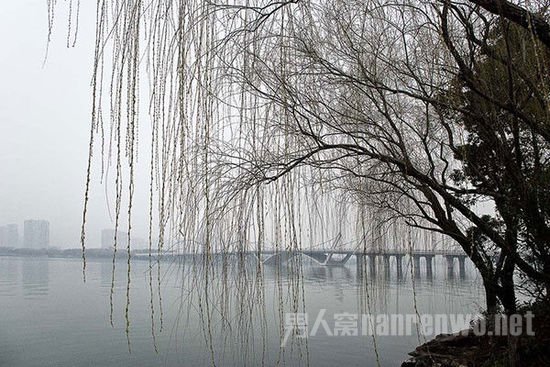 雨雾天气拍摄技巧 雨天拍雾参数怎么设置
