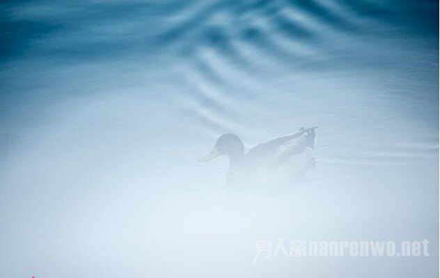 怎么拍出深沉的照片 如何拍出景深大的照片图1