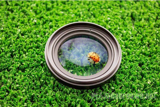 微距镜头的五大使用迷思汇总分析 微距镜头的使用技巧图1