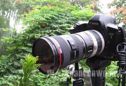 微距镜头的五大使用迷思汇总分析 微距镜头的使用技巧图3