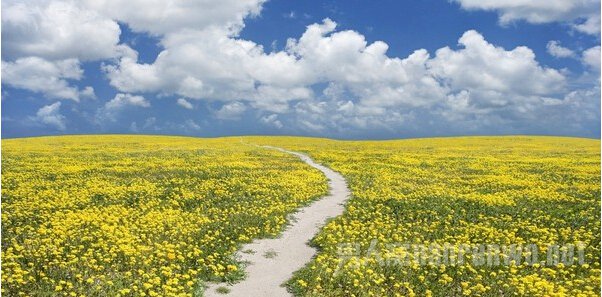 再看前面那幅画 再看这是什么