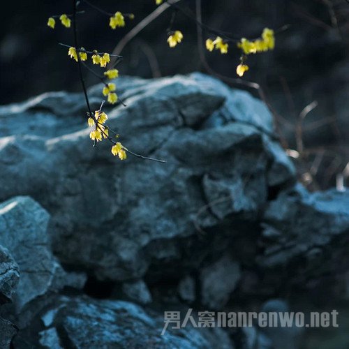 浅析你如何对摄影照片进行后期处理 摄影后期处理的作用是什么