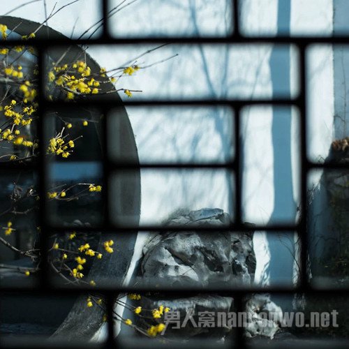 浅析你如何对摄影照片进行后期处理 摄影后期处理的作用是什么