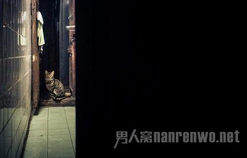 弱光环境下如何对焦 微单弱光对焦很慢图3