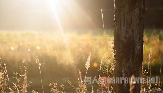 摄影怎么拍出效果好的图片 摄影作品怎么拍的有感觉