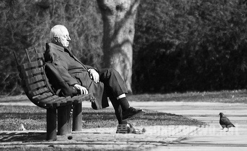 如何提升自己的摄影水平 怎么提升自己的摄影技术