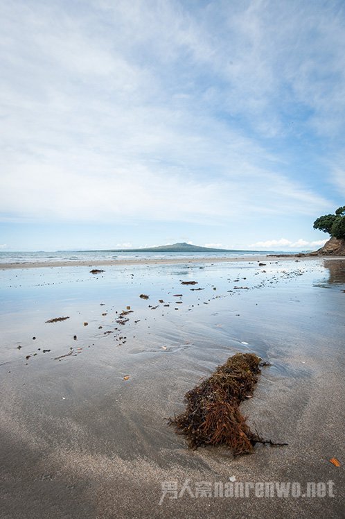摄影构图入门与提高 摄影构图问题常见问题