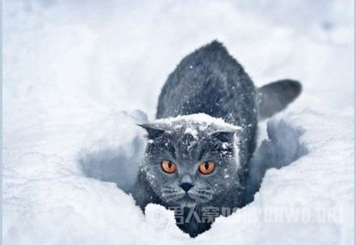 美丽雪景拍摄技巧全知道视频 雪景如何拍摄才有创意图1