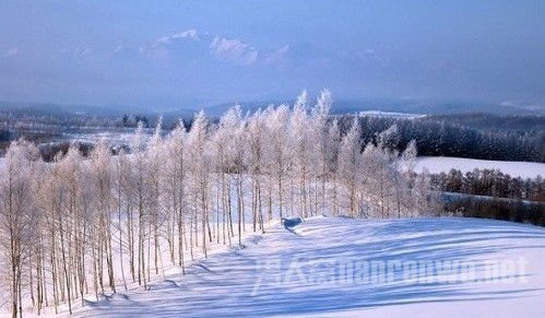 美丽雪景拍摄技巧全知道视频 雪景如何拍摄才有创意