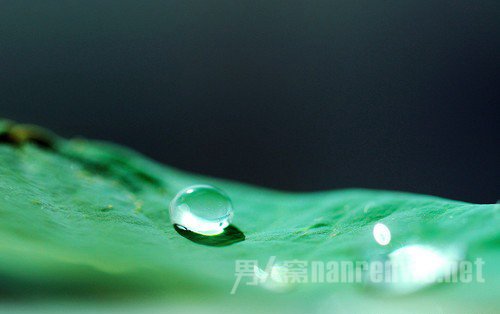 摄影入门镜头怎么选 新手入门镜头的选择