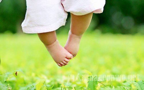 摄影入门镜头怎么选 新手入门镜头的选择