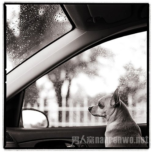 想成为专业摄影师 怎样成为一名专业摄影师