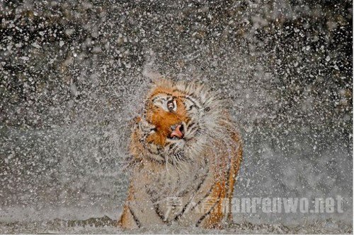 摄影不在于器材 学会讲故事才能拍出好照片吗 摄影照片讲一个故事