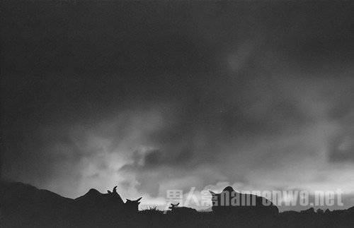 拍摄天气不好怎么办 天气摄影作品