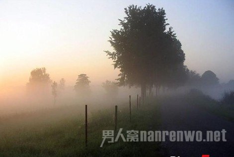 背景虚化如何拍摄 背景虚化用什么软件拍图3