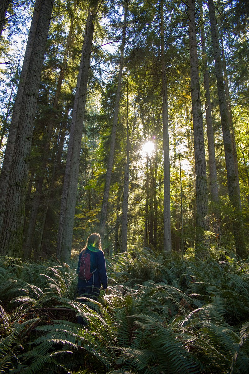 徕卡m10d评测 徕卡m10-r样片