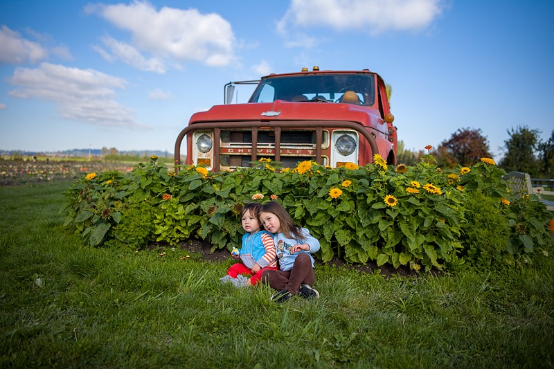 徕卡m10d评测 徕卡m10-r样片