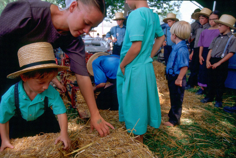 柯达e100胶卷 柯达复产e100