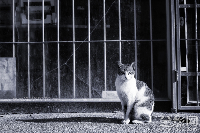 以色列的特拉维夫景点 特拉维夫是以色列的首都吗