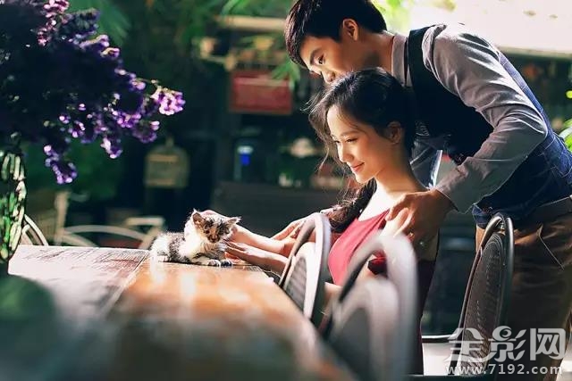 锻造多样化的摄影产品风格有哪些 产品摄影道具