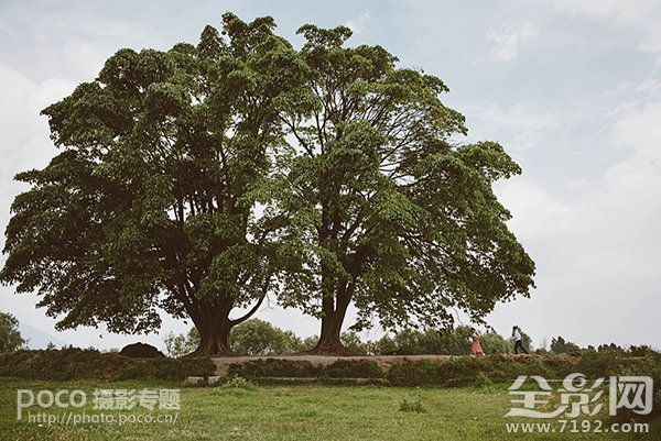 情侣拍照怎么摆姿势更自然 情侣拍照怎么拍好看姿势