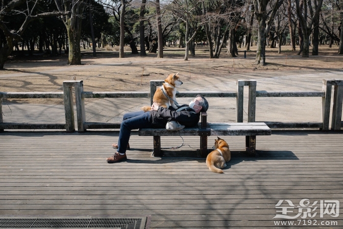 寂寞的东京街头小说 寂寞东京塔经典语录图1