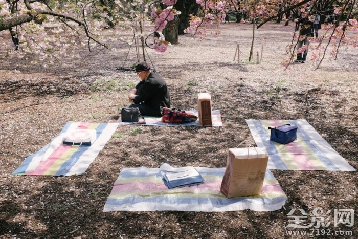 寂寞的东京街头小说 寂寞东京塔经典语录