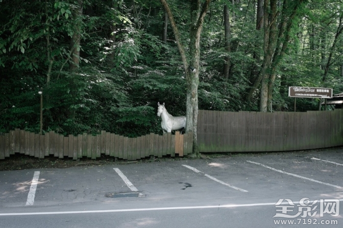 寂寞的东京街头小说 寂寞东京塔经典语录