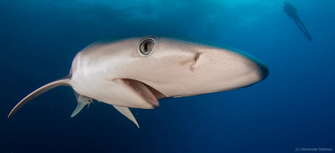 开始学摄影买什么相机 初学摄影买什么价位相机好图3